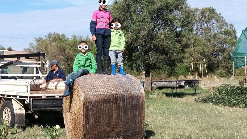 オーストラリア農家の庭で3人の子どもが干草ロールの上に立ってポーズをとっている写真